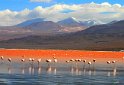 BOLIVIA,-laguna-Colorata2