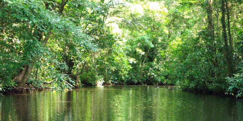 Tortuguero-Costa_Rica